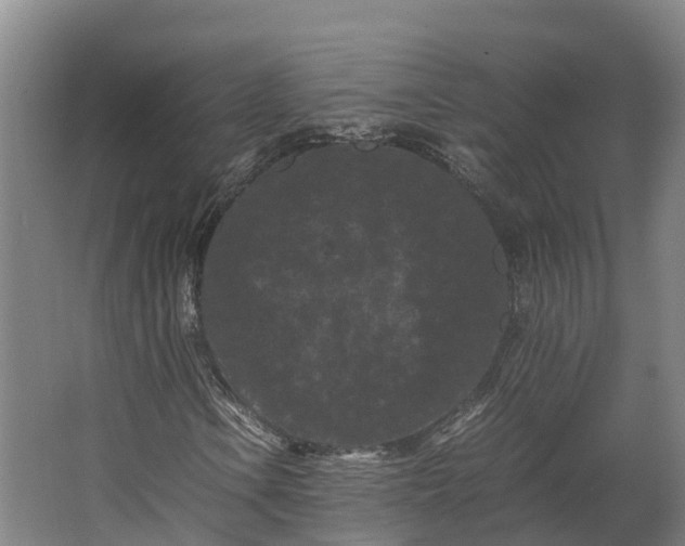 X0000062631106200601041024