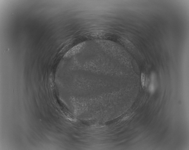 X0000062631107200601041024