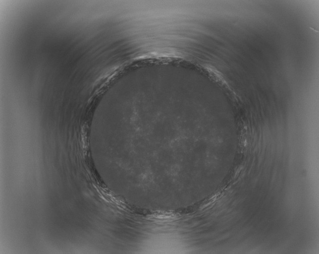 X0000062631110200601041024