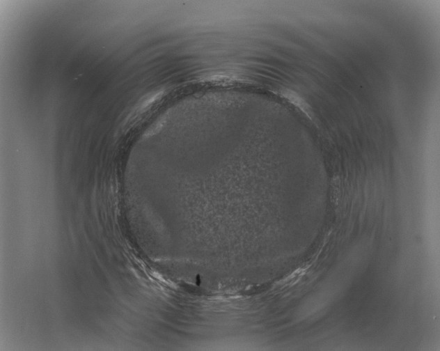 X0000062631111200601041024