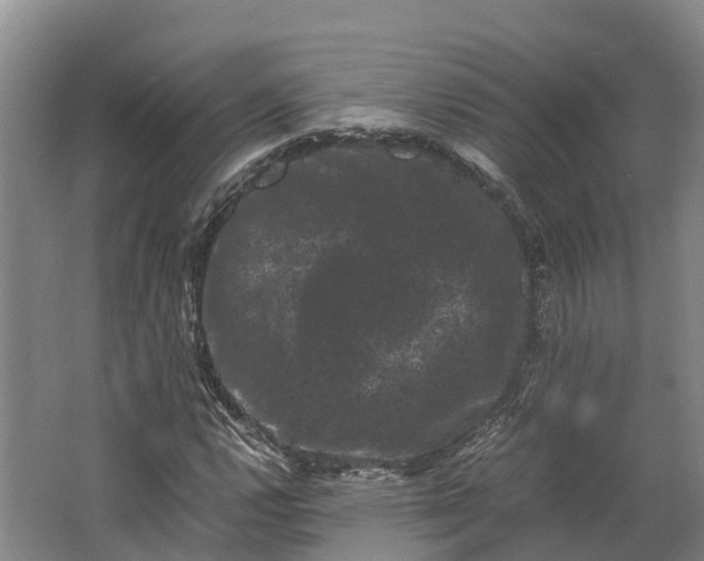 X0000062631112200601041024