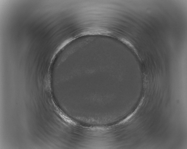 X0000062631114200601041024