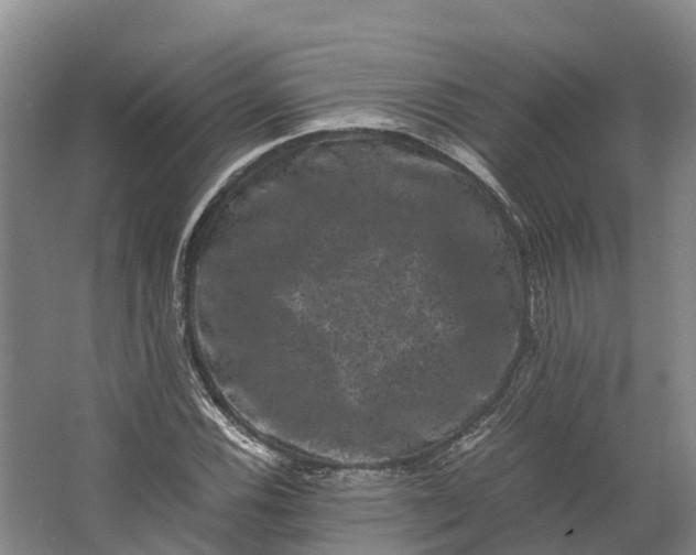 X0000062631116200601041024