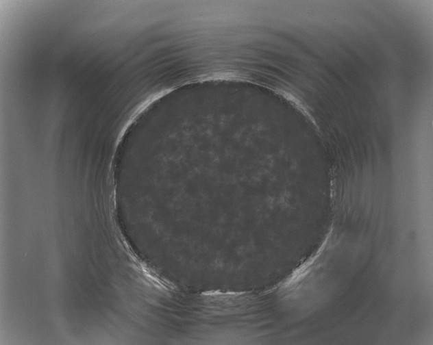 X0000062631117200601041024