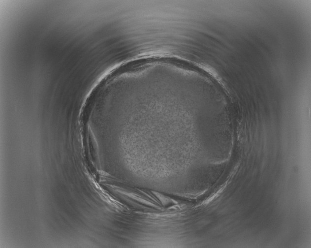 X0000062631118200601041024