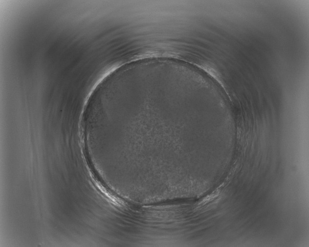 X0000062631119200601041024