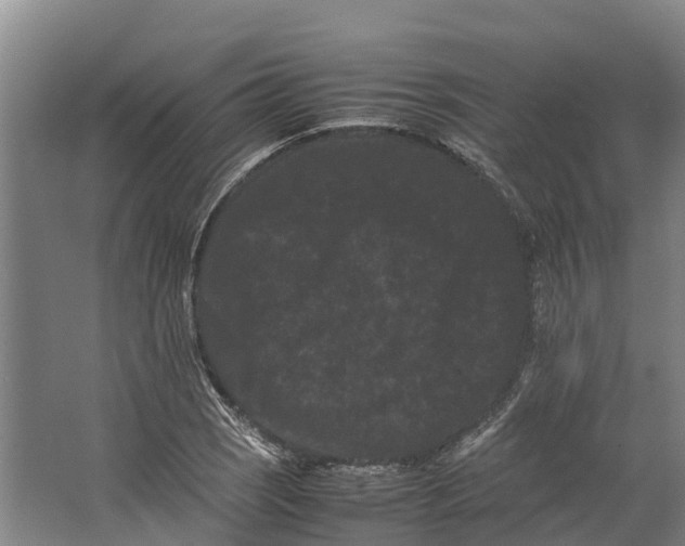 X0000062631121200601041024