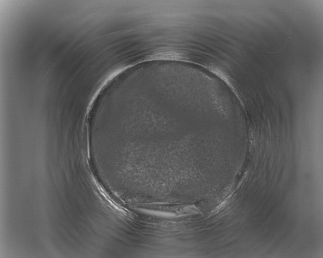 X0000062631123200601041024