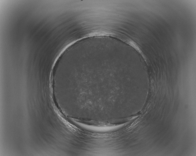 X0000062631124200601041024