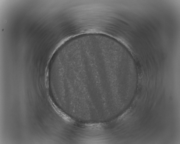 X0000062631126200601041024