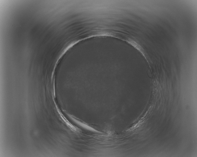 X0000062631127200601041024