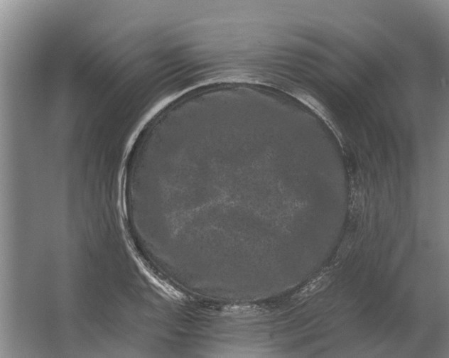 X0000062631128200601041024