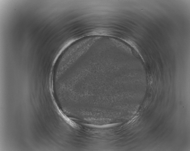 X0000062631131200601041024