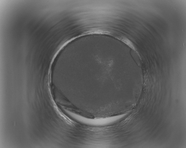 X0000062631132200601041024