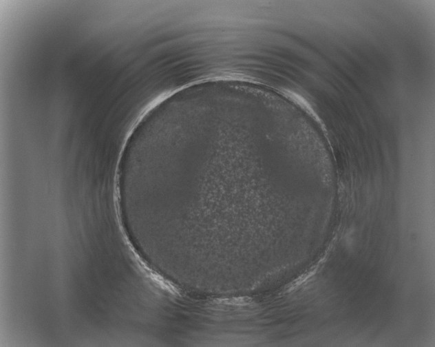 X0000062631133200601041024