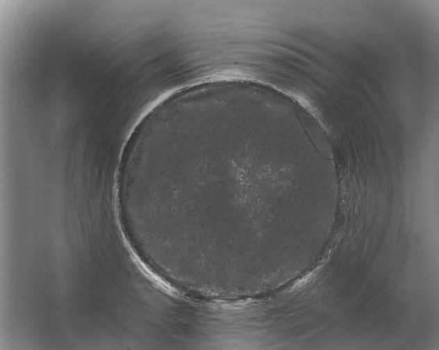 X0000062631134200601041024