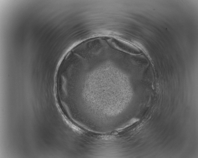 X0000062631136200601041024