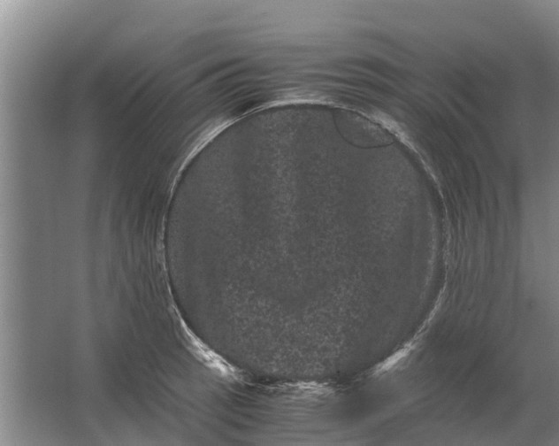 X0000062631137200601041024