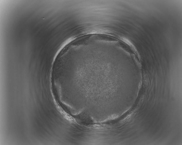 X0000062631138200601041024