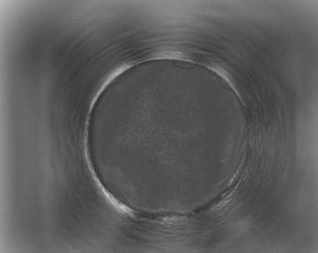 X0000062631139200601041024