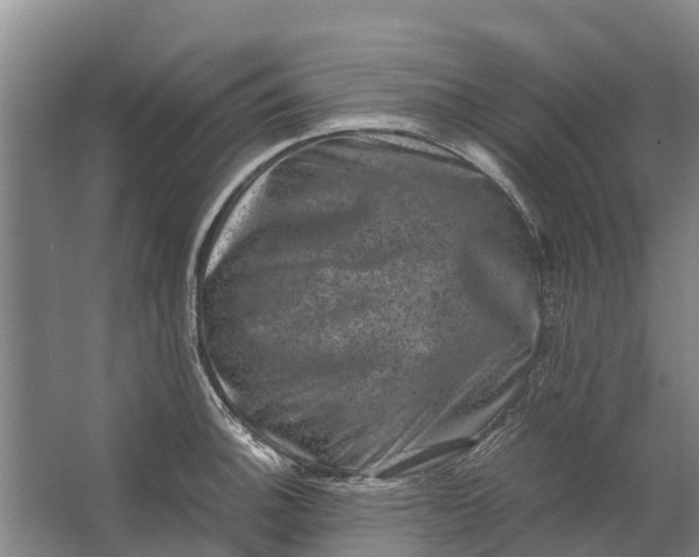 X0000062631140200601041024