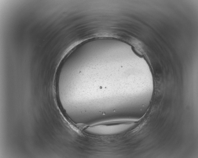 X0000062631141200601041024