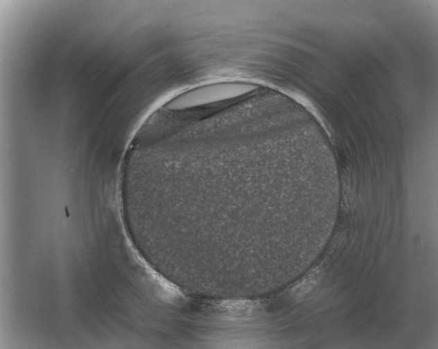 X0000062631142200601041024