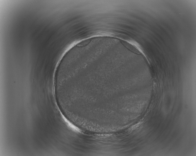 X0000062631143200601041024