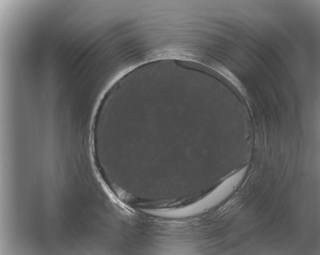 X0000062631144200601041024