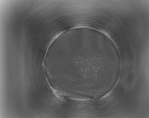 X0000062631145200601041024