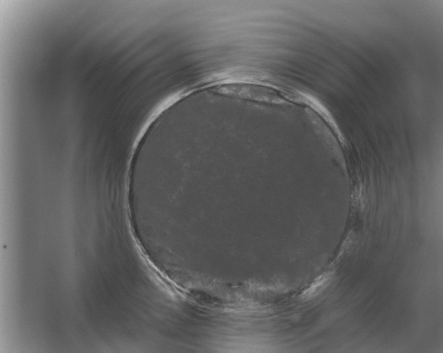 X0000062631146200601041024