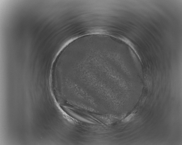 X0000062631147200601041024