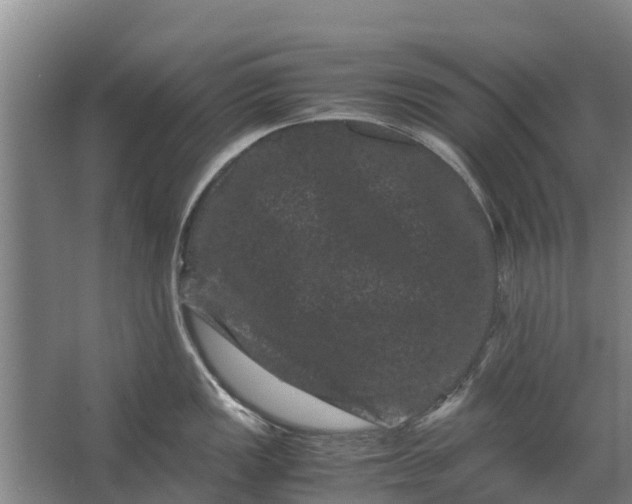 X0000062631149200601041024