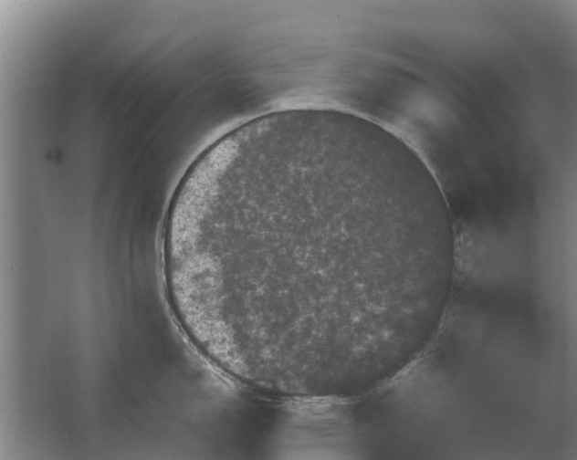 X0000062631150200601041024