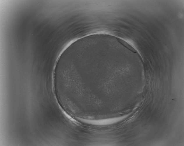 X0000062631151200601041024