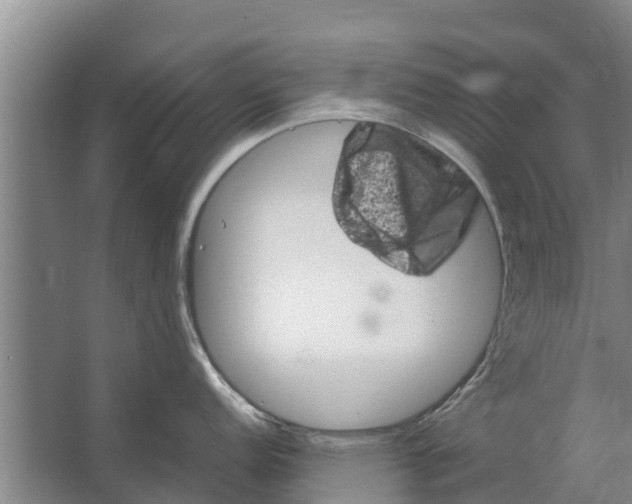 X0000062631152200601041024