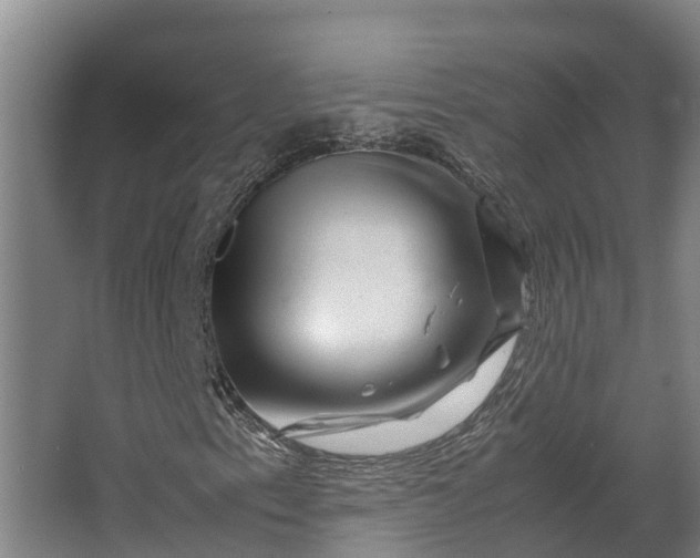 X0000062631153200601041024