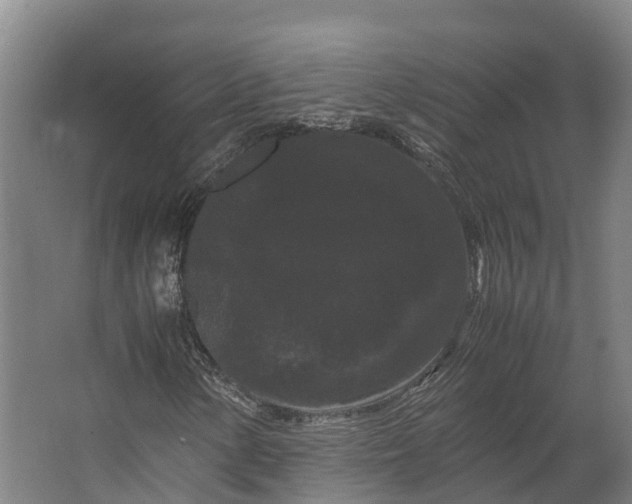 X0000062631154200601041024