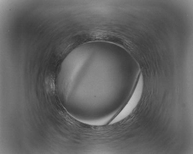 X0000062631155200601041024