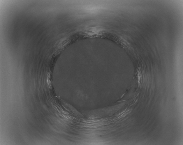 X0000062631156200601041024