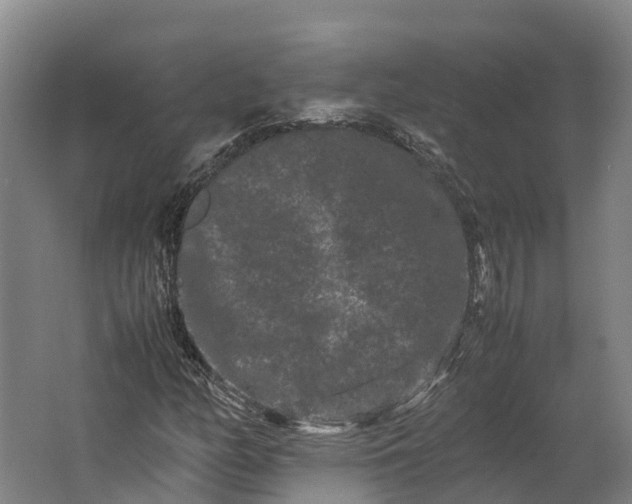 X0000062631158200601041024