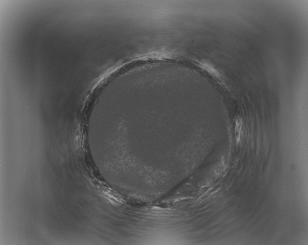 X0000062631160200601041024