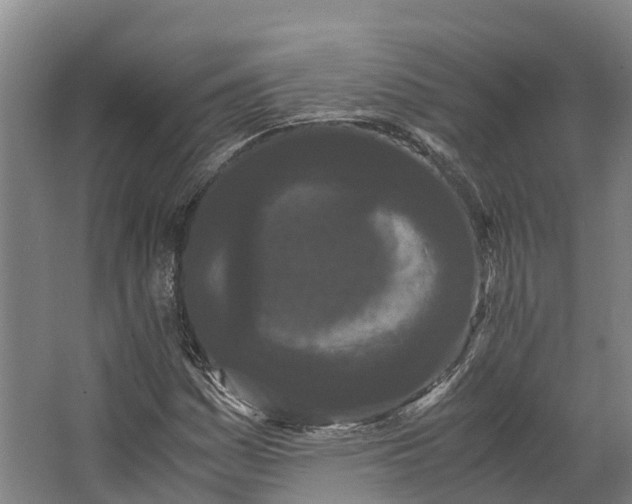 X0000062631161200601041024