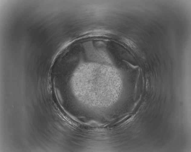 X0000062631164200601041023