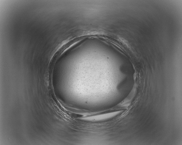 X0000062631165200601041023