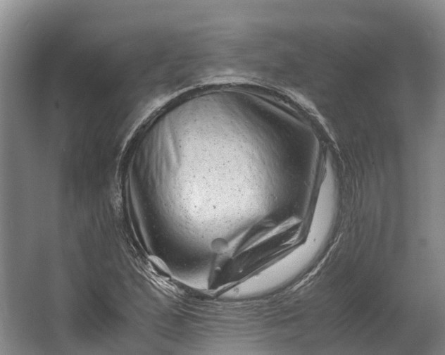 X0000062631167200601041023