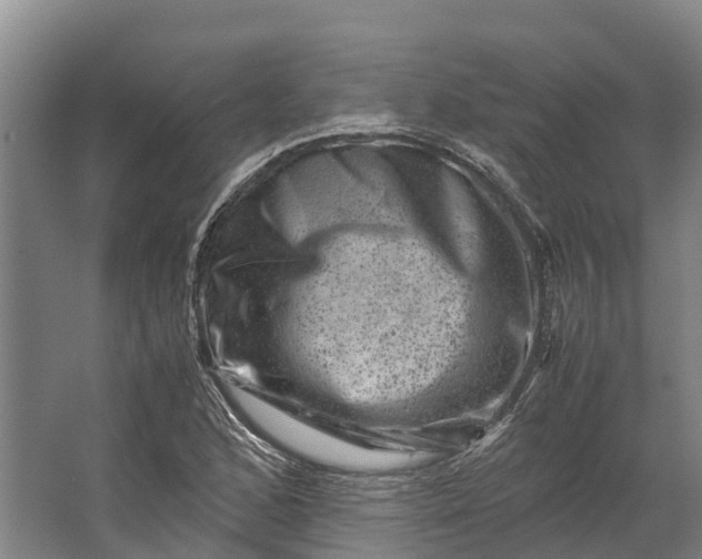 X0000062631168200601041023