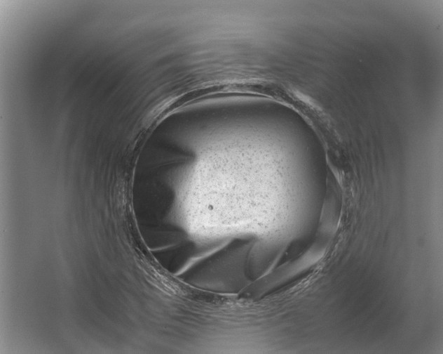 X0000062631169200601041023