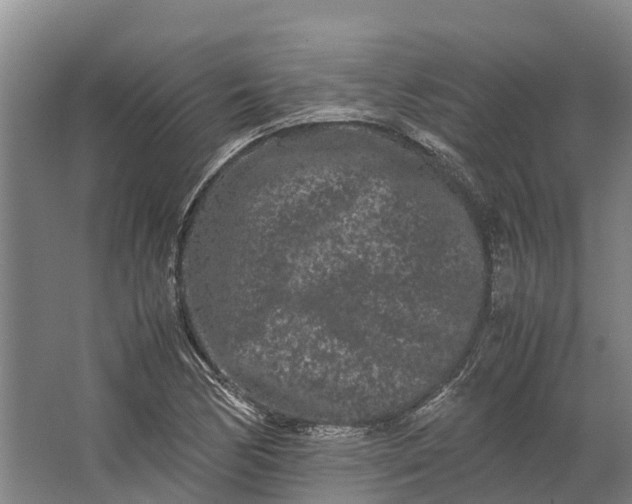 X0000062631170200601041023