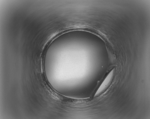 X0000062631171200601041023